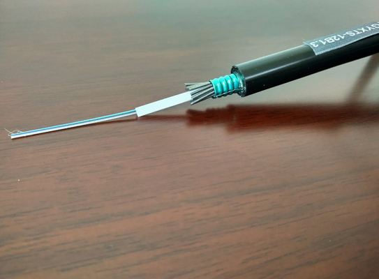 Anti Rodent Fiber Optic Cable 12 Cores GYXTS Steel Wires Surround